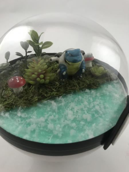 Blastoise Large Water Pokeball Terrarium picture