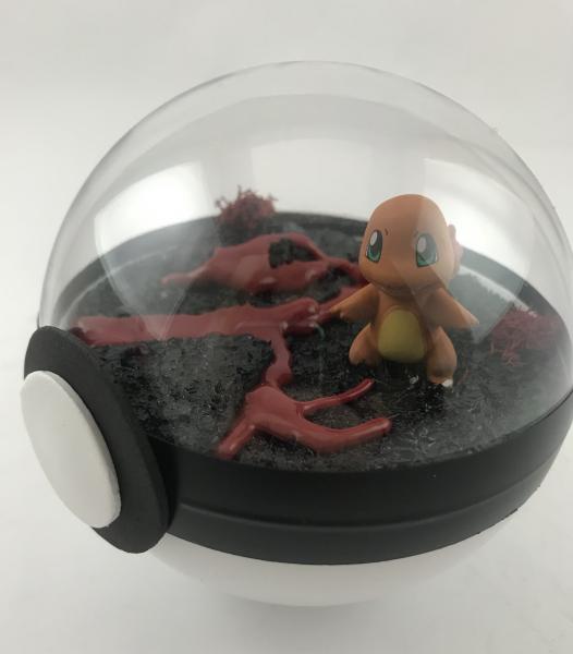 Charmander Fire Small Pokeball Terrarium picture