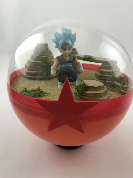 Super Saiyan Blue Vegito Dragonball Super Terrarium picture