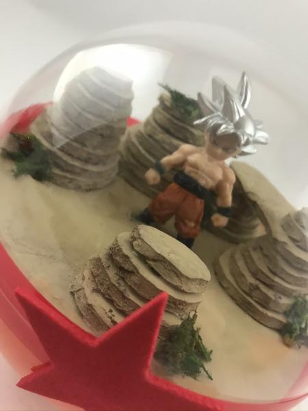 Ultra Instinct Goku Dragonball Super Terrarium picture