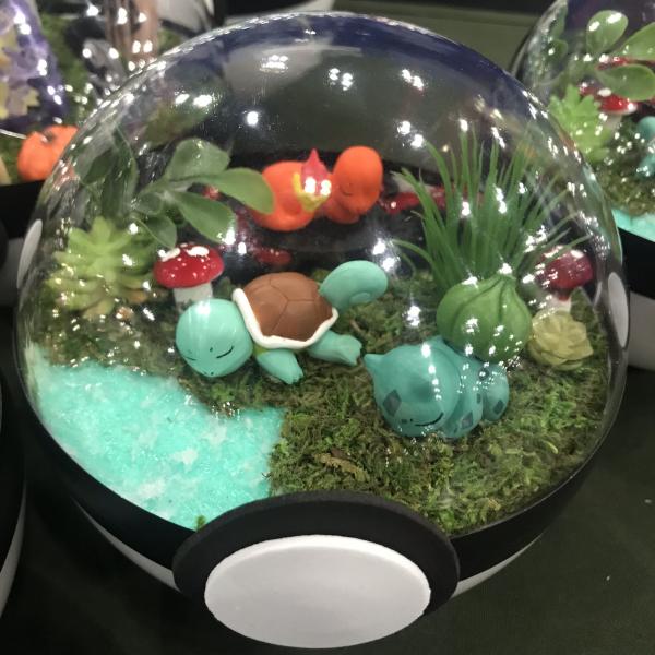 Kanto Starter Pokemon Terrarium picture