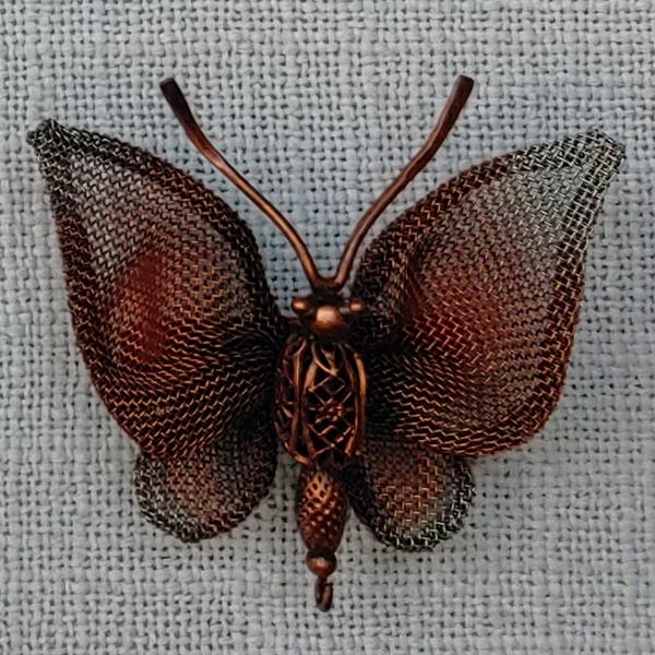 Medium Butterfly of Coarse Mesh picture