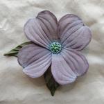 Dogwood Bloom with Leaves