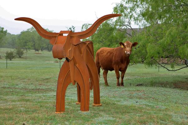 Baby Longhorn picture