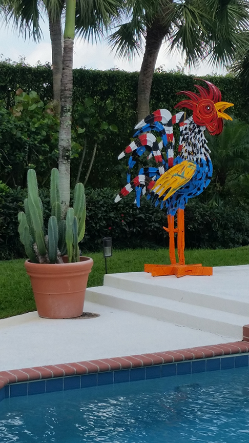 Rooster picture