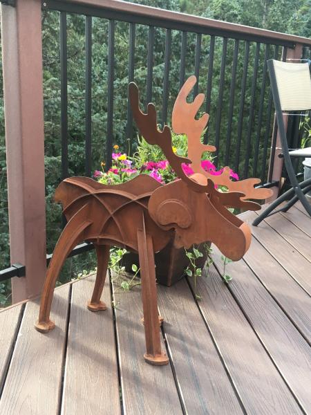 Tabletop Moose picture