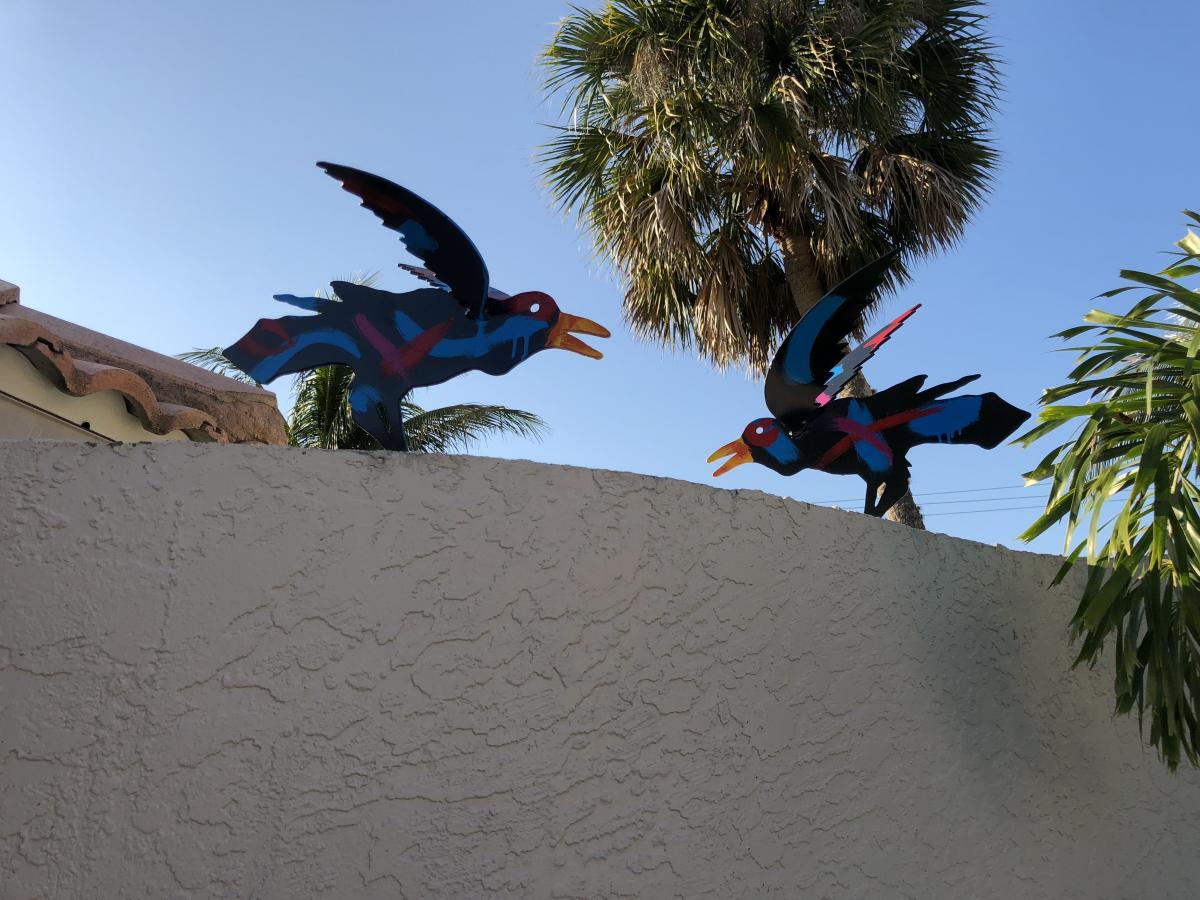 Small Raven Flying picture