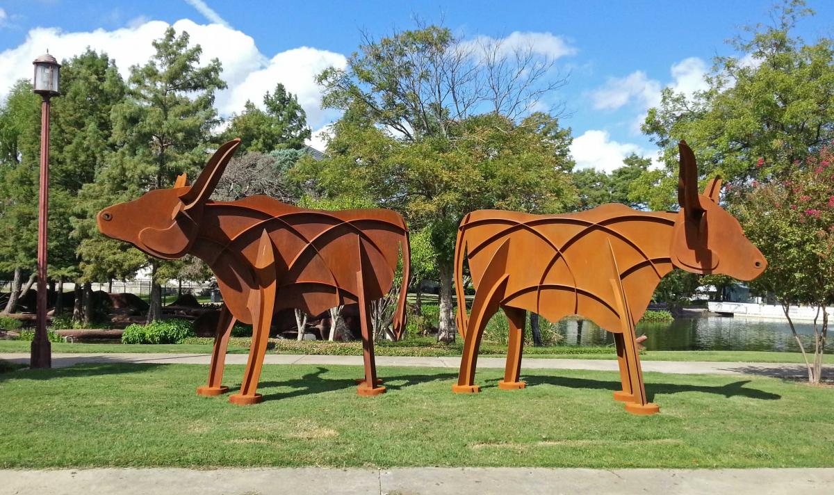 Mama Longhorn picture