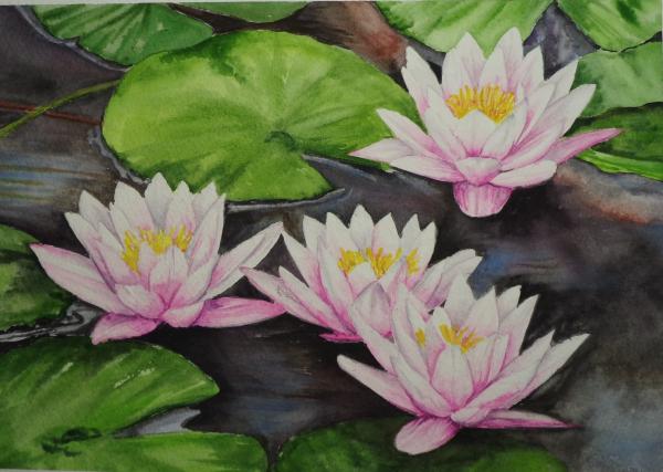 Water Lilies picture