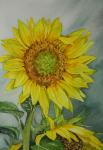Sunflowers (ORIGINAL)