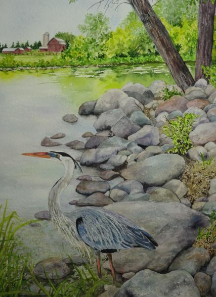 Herron in the Rocks (ORIGINAL)