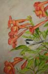 Trumpet Vine/Chickadee (ORIGINAL)