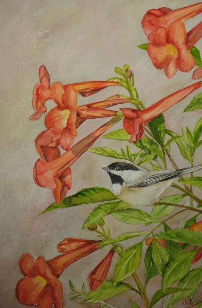 Trumpet Vine/Chickadee (ORIGINAL) picture