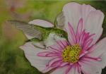 Humming Bird and Pink Flower (ORIGINAL)