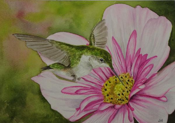 Humming Bird and Pink Flower (ORIGINAL) picture