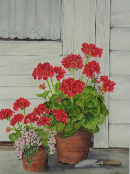 Geraniums (ORIGINAL) picture