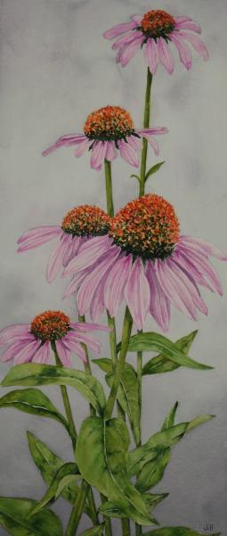 Purple Coneflowers (ORIGINAL)