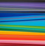 Life in Colour
