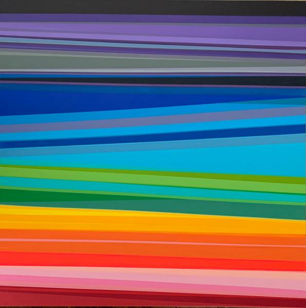 Life in Colour