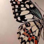 Big Butterfly