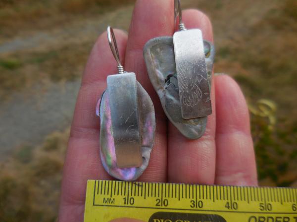 Sterling silver, found abalone earrings LY E 7634