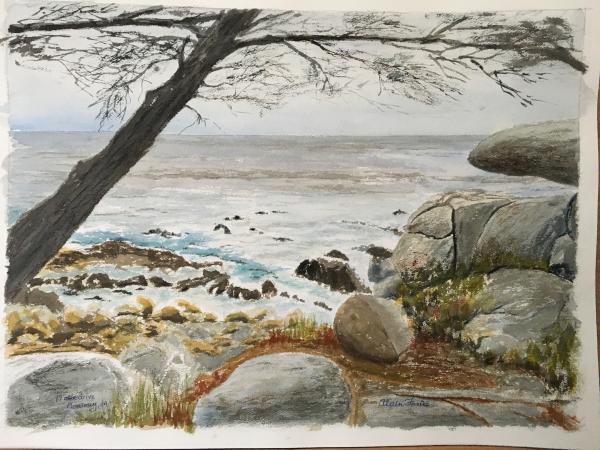 17-mile drive cove, Monterey, CA picture