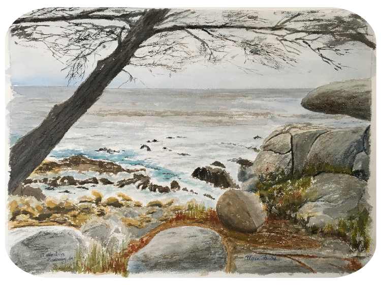 17-mile drive cove, Monterey, CA picture