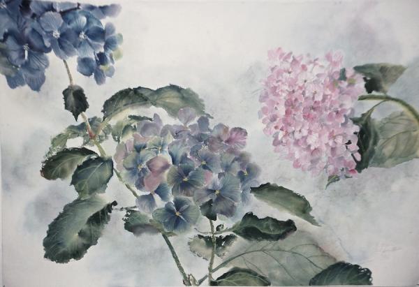 Hydrangea Air, 18 x 24" print