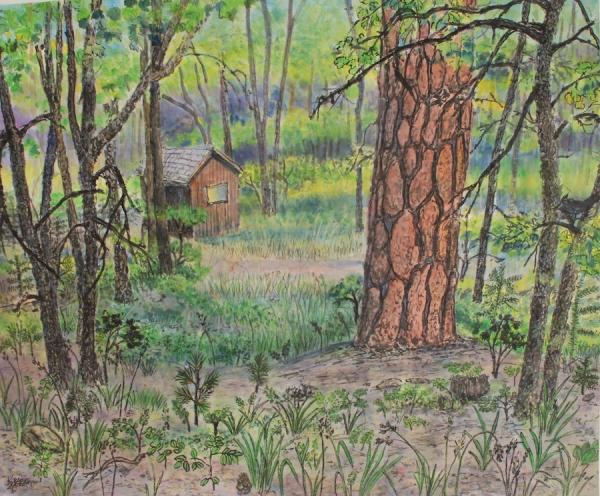 Cabin in the Woods,  22 x 27.5 print picture