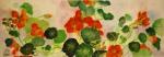 Nasturtiums, print 9.5 x 27.5