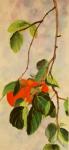 Persimmon Hanging Branch, original, framed