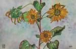Val's Sunflowers