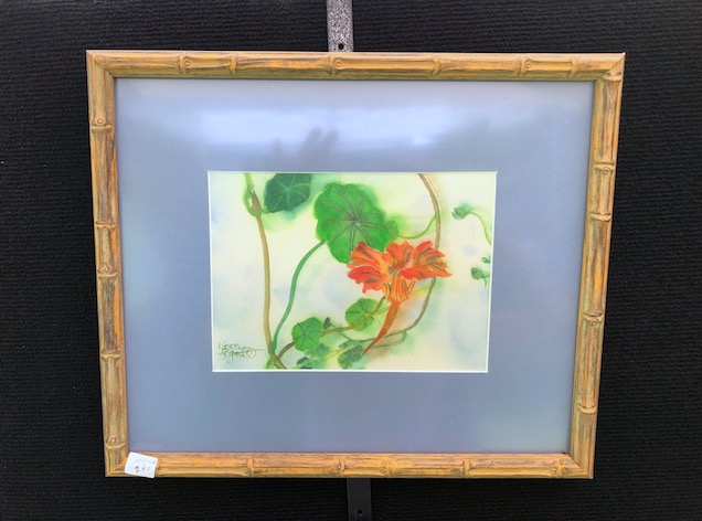 Nasturtium picture