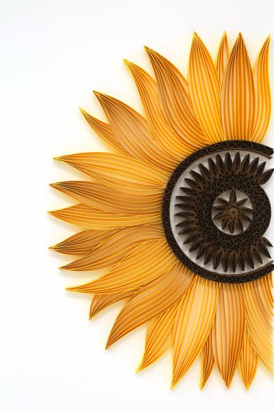 Surya Mukhi - Sunflower picture