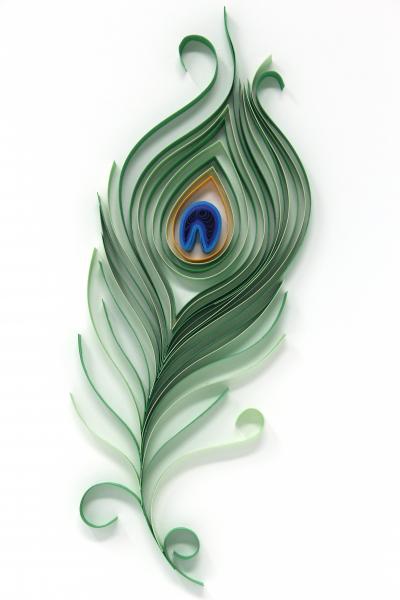 Mayura Pattra - Peacock Feather picture