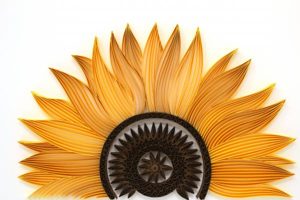 Surya Mukhi - Sunflower picture