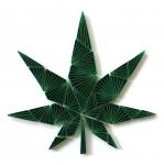 Ganja - Marijuana Leaf