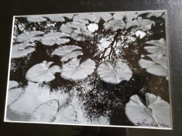 11x14 Matted Print - "Serene Pond" picture