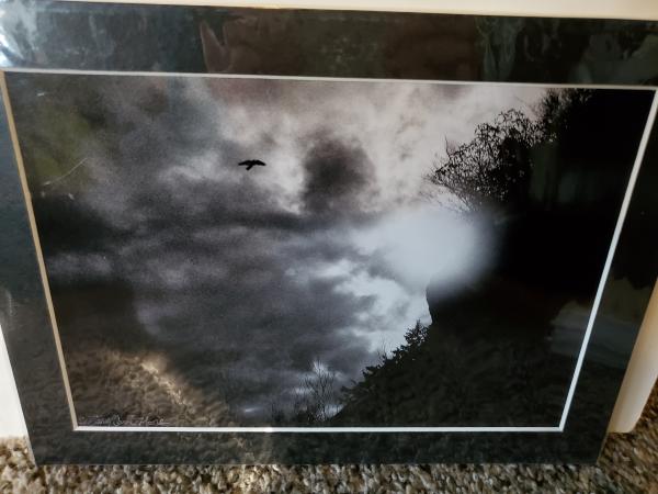 9x12 Matted Print - "Soaring" picture