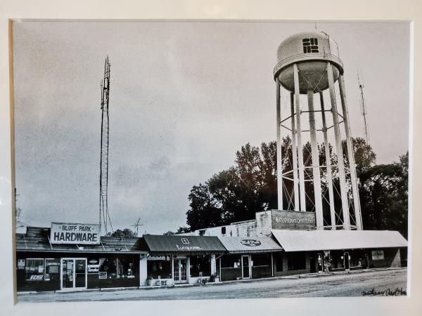 9x12 Matted Print - "Ode to Bluff Park 4" picture