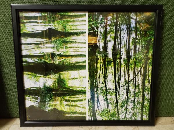 Framed Print - "Abstracting" picture