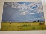 14 x 18 Matted Print - "The Rolling West"