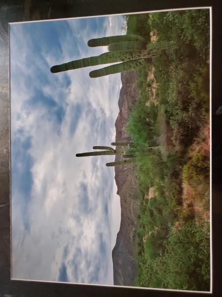 16 x 20 Matted Print - "Western Skies" picture