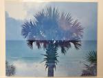 8x10 Un-matted Print - "Palm Tree Vibes 2"
