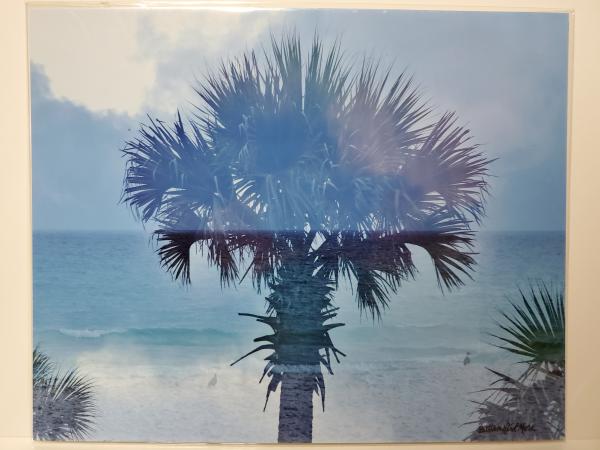 8x10 Un-matted Print - "Palm Tree Vibes 2" picture