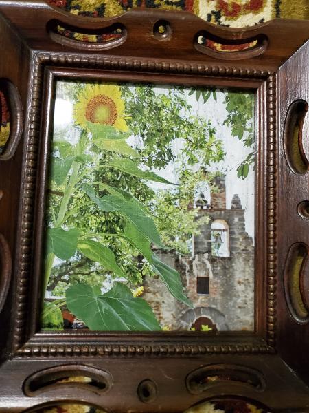 Gel Medium Transfer Frame Piece - "San Antonio Sunflower" picture