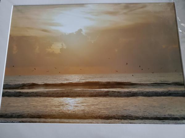 16 x 20 Matted Print - "Morning Glory" picture