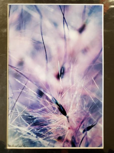 9x12 Matted Print - "Wisp 1" picture