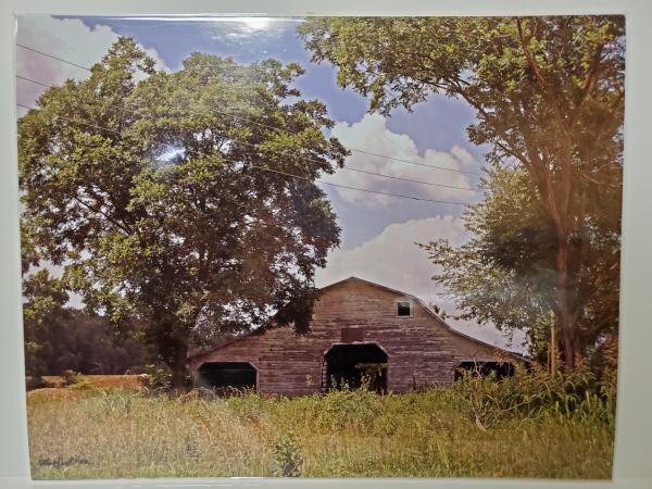 11x14 Un-matted Print - "Rustic Pleasure" picture