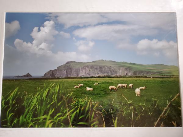 14 x 18 Matted Print - "Dear, Lovely Isle" picture